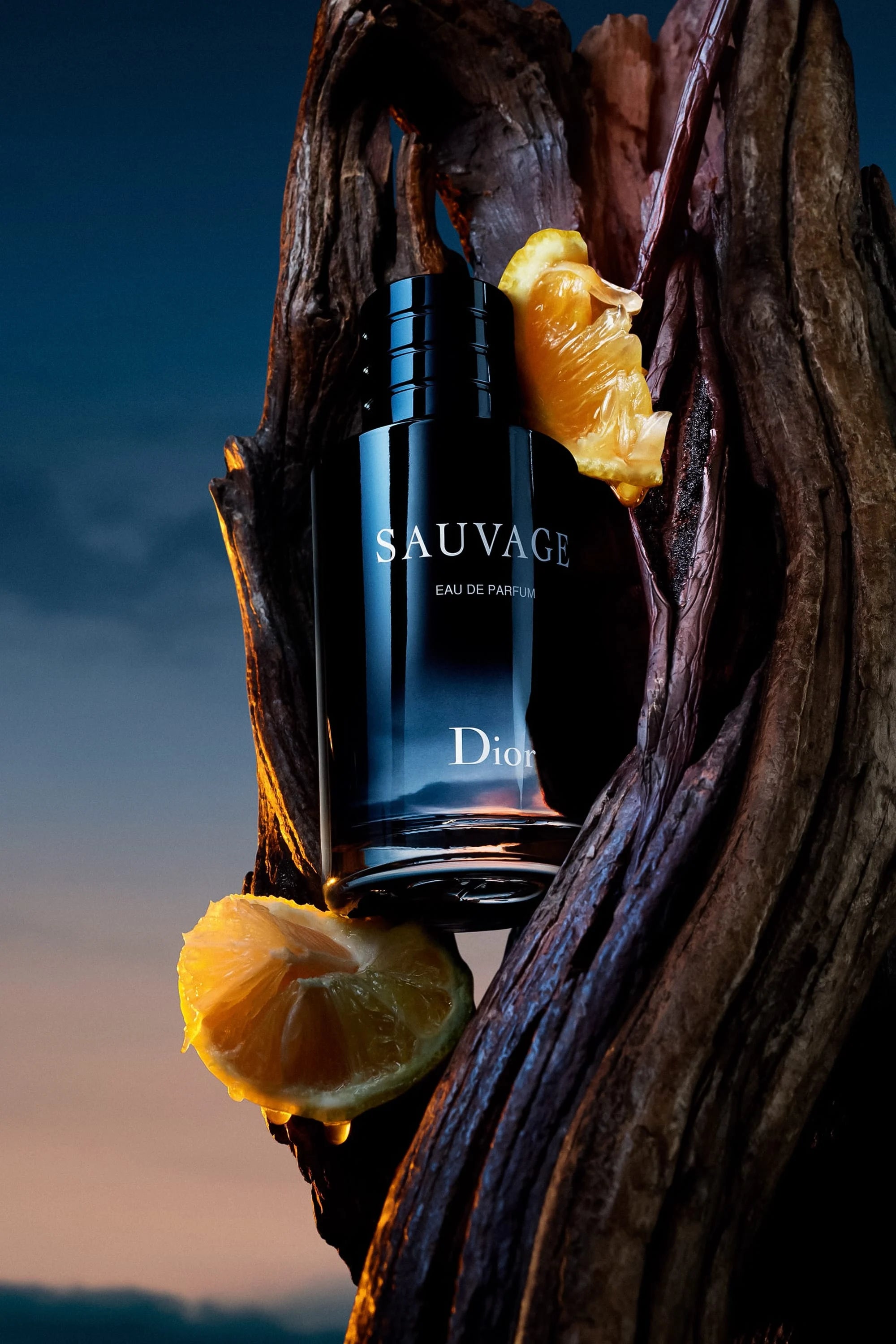 Dior Sauvage Eau de parfum 100ml
